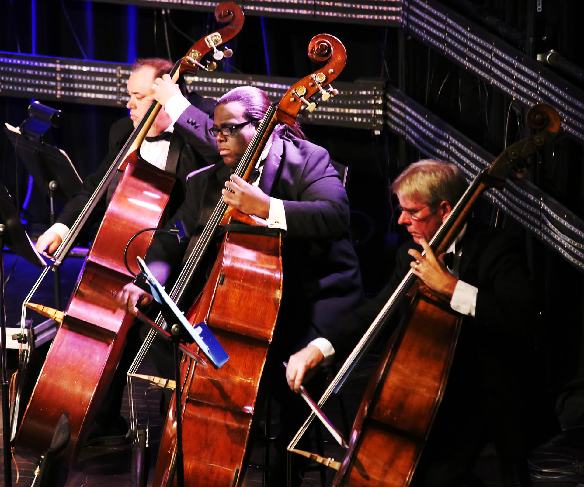 Men playing stringed instruments in an orchestra. 